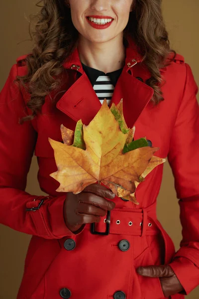 10月だ 革手袋と黄色の秋のカエデの葉を持つ笑顔の女性の閉鎖青銅の背景に — ストック写真