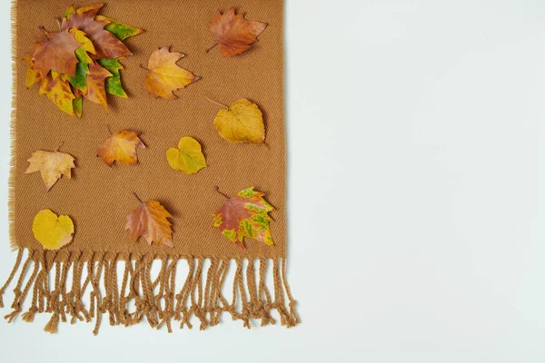 Hello autumn. autumn flat lay with scarf and leaves on white background.