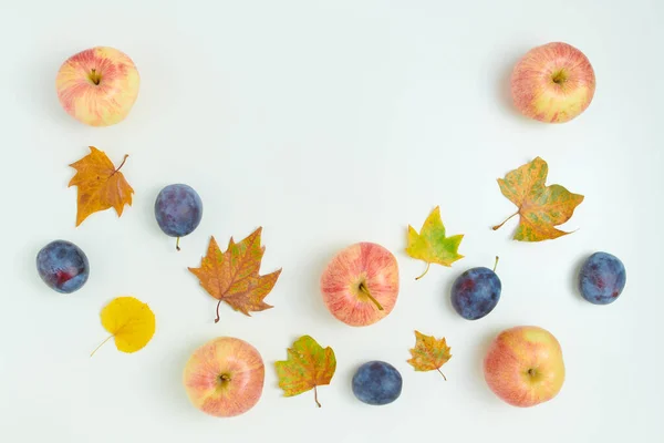 十一月 秋天的平坦地 李子和苹果 背景为白色 — 图库照片