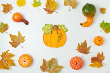 Merhaba sonbahar. Beyaz arkaplanda yaprakları ve kabakları olan sonbahar arkaplanı.