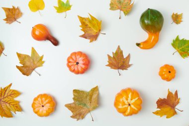 Merhaba Kasım ayı. Beyaz arkaplanda yaprakları ve kabakları olan sonbahar arkaplanı.