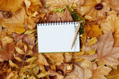 Merhaba Ekim. Yapraklar ve defterle sonbahar arkaplanı.