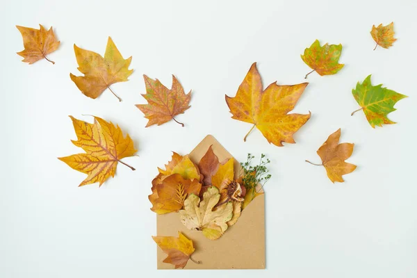 Ciao Autunno Autunno Piatto Giaceva Con Busta Foglie Sfondo Bianco — Foto Stock