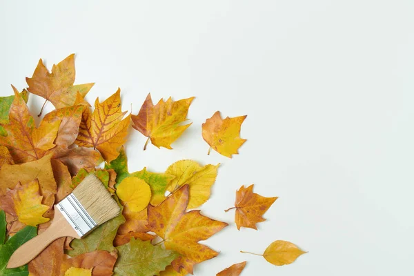 Hej September Höst Platt Låg Med Färg Borstar Och Blad — Stockfoto