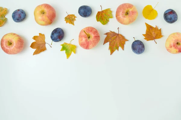 Hello September Autumn Flat Lay Leaves Plums Apples White Background — Stock Photo, Image