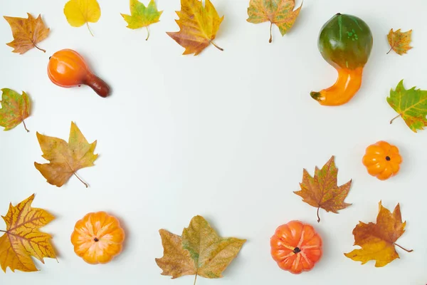 Olá Setembro Fundo Outono Com Folhas Abóboras Fundo Branco — Fotografia de Stock