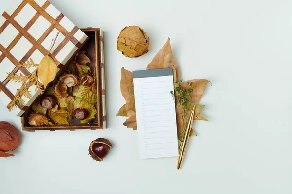 Hello september. autumn flat lay with leaves, chestnuts, box and notebook on white background.