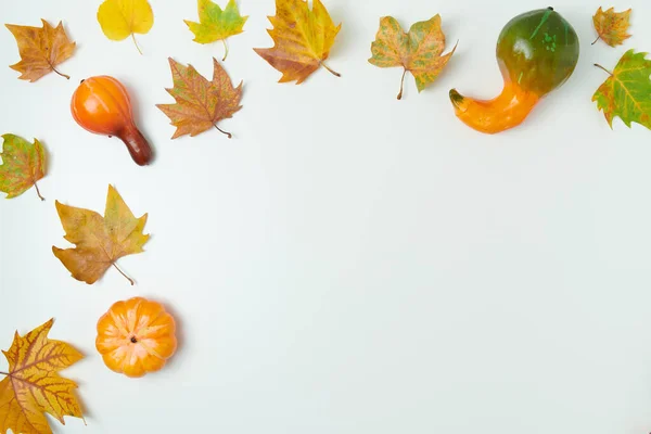 Γεια Σου Φθινόπωρο Φθινόπωρο Επίπεδη Θέσει Φύλλα Και Κολοκύθες Λευκό — Φωτογραφία Αρχείου