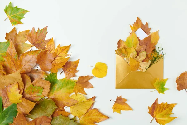 Ciao Settembre Autunno Piatto Giaceva Con Busta Foglie Sfondo Bianco — Foto Stock