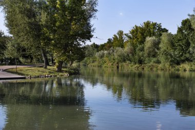 Bir nehrin etrafında büyüyen ağaçlar ile güzel manzara. Rahatlatıcı kavramı