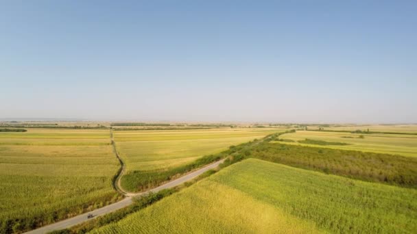 Luchtfoto Landschap Van Verschillende Gewassen Met Motorfiets Passeren Door Weg — Stockvideo