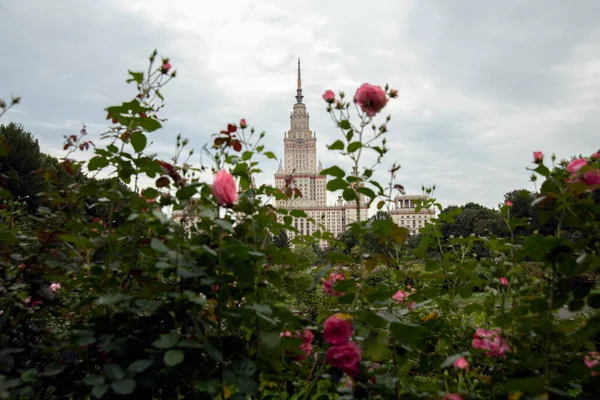 Βοτανικός Κήπος Του Κρατικού Πανεπιστημίου Της Μόσχας Μόσχα Ρωσία — Φωτογραφία Αρχείου