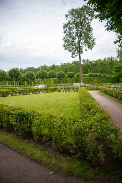 Park Katarzyny Puszkin Petersburg Rosja — Zdjęcie stockowe