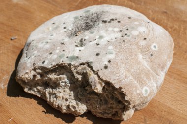 Ahşap tahta arka planda ekmek closeup küflü somun