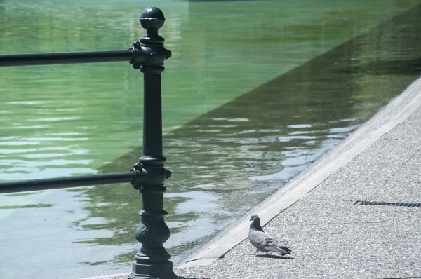 Zaundetail Aus Dekorativen Metallelementen Entlang Des Sees Park Mit Wandelnden — Stockfoto