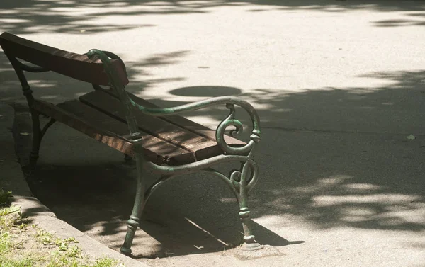 Vintage garden bench with metal construction and wooden board seats on asphalt park alley in tree shade in sunny summer day