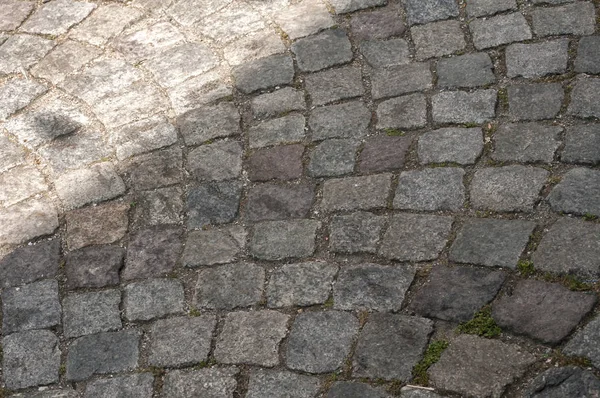 Straße Grau Stein Gepflasterte Oberfläche Detail Nahaufnahme Als Hintergrund — Stockfoto