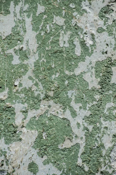 Velho Grunge Weathered Descascamento Descascamento Verde Pintado Gesso Casa Parede — Fotografia de Stock