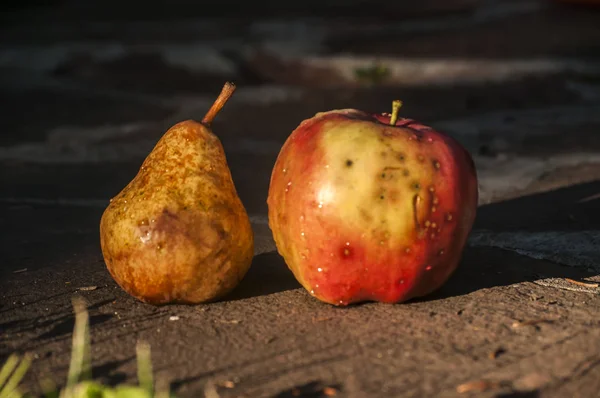 Organik Akhir Musim Panas Varietas Apel Merah Dan Kuning Dan — Stok Foto