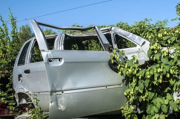 Старые Измельченные Кузова Автомобилей Хранящиеся Свалке Утилизации Отходов Запасных Частей — стоковое фото