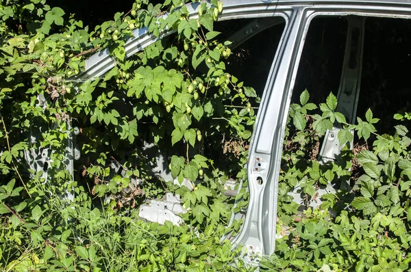 Старі Подрібнені Кузови Автомобілів Зберігаються Автозапчастинах Брухту Запасних Частин — стокове фото