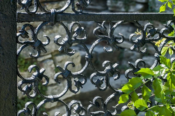 花园铁门的网格围栏的细节与美丽的装饰品特写 — 图库照片