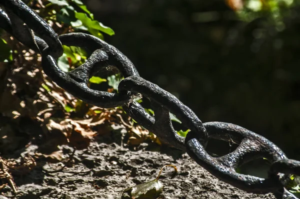 Tjockt Järn Svart Kedja Länkar Staket Närbild Som Ett Dekorativt — Stockfoto