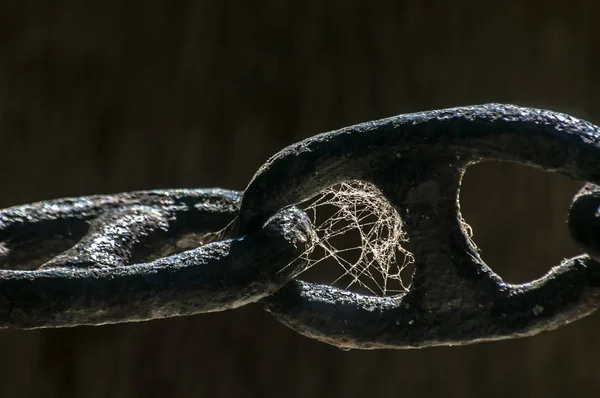 두꺼운 어두운 배경에 거미줄과 울타리 클로즈업을 — 스톡 사진