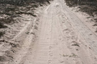Yaz aylarında deniz plajı kumulları boyunca kırsal kumlu yol