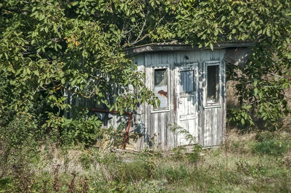 Stary Wywietrzony Opuszczony Grunge Zaniedbane Mały Drewniany Bungalow Wśród Świeżych — Zdjęcie stockowe
