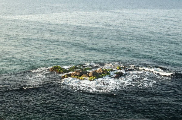 Пейзаж Морскими Скалами Заросшими Зелеными Водорослями Ясный Солнечный Летний День — стоковое фото