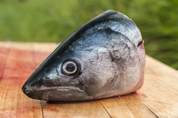 Gesneden Hoofd Van Rauwe Makreel Vis Met Bloed Houten Bordoppervlak — Stockfoto