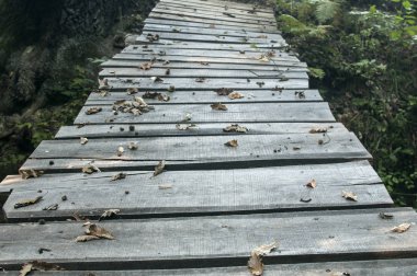 Sonbahar ormanda küçük nehir üzerinde küçük ahşap kurulları köprü closeup