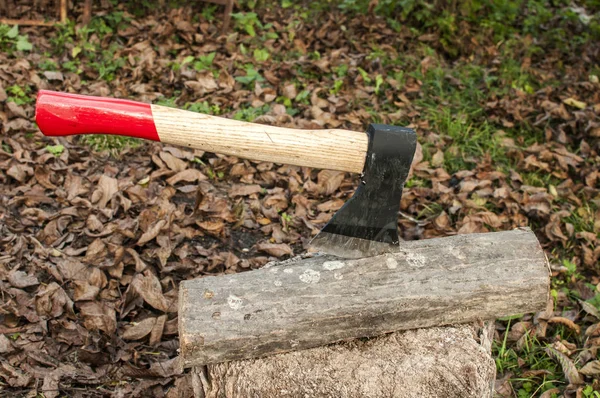 Avec Manche Bois Coincé Dans Bois Chauffage Sur Vieux Souche — Photo