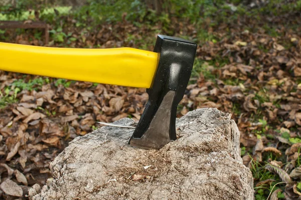 与黄色手柄卡在秋季干叶背景的旧树桩的斧 — 图库照片