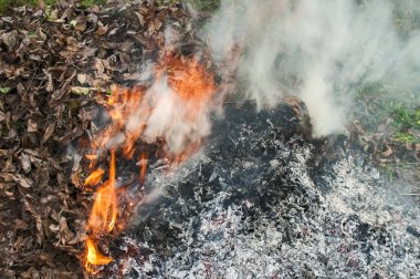 Kuru sonbahar yaprakları ve külleri alev yanan kazık