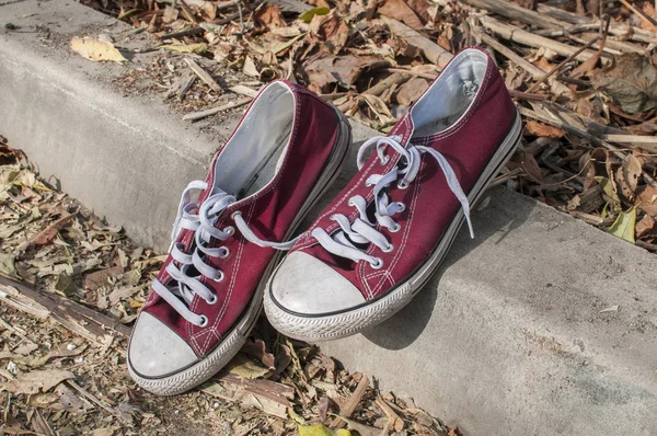 一双破旧的复古红色旧帆布运动鞋在干燥的秋天叶子表面 — 图库照片