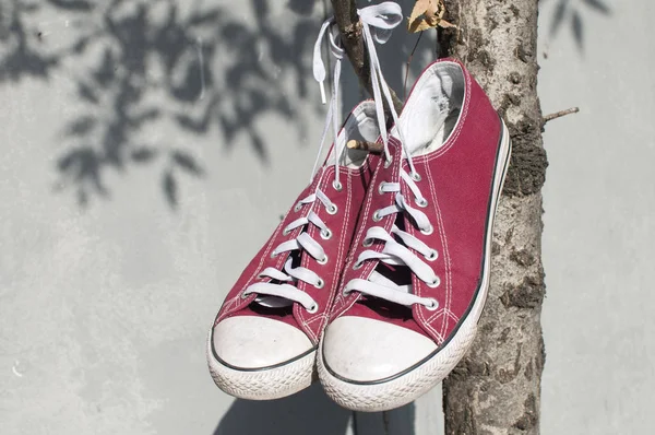 Par Zapatillas Vintage Lona Vieja Roja Colgando Sus Corbatas Atadas — Foto de Stock