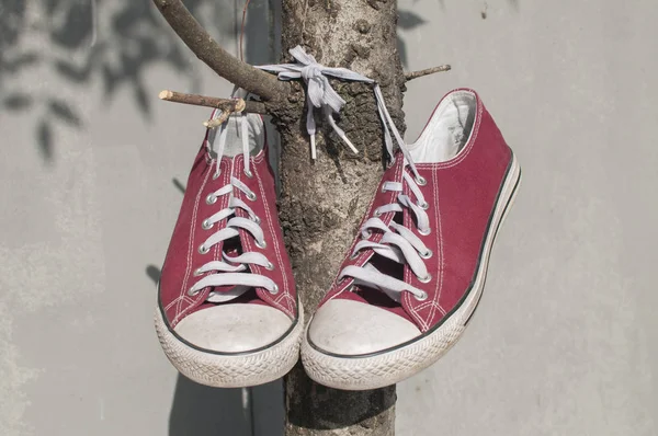 Par Zapatillas Vintage Lona Vieja Roja Colgando Sus Corbatas Atadas — Foto de Stock