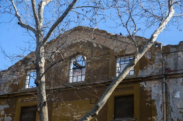 Velho Edifício Abandonado Fachada Atrás Grandes Galhos Árvore Fundo Céu — Fotografia de Stock