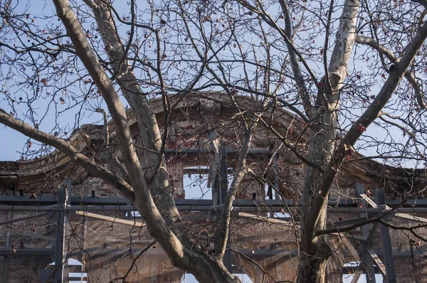 Oude Verlaten Gebouw Gevel Achter Grote Boomtakken Blauwe Hemel Achtergrond — Stockfoto