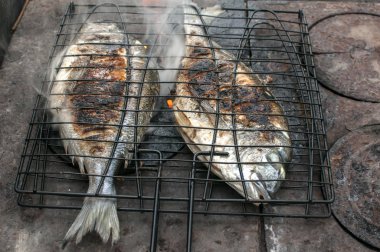 Demir ocakta ızgarada kızartılmış, yaldızlı balık.