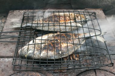 Demir ocakta ızgarada kızartılmış, yaldızlı balık.