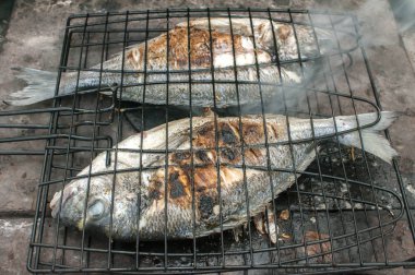 Demir ocakta ızgarada kızartılmış, yaldızlı balık.