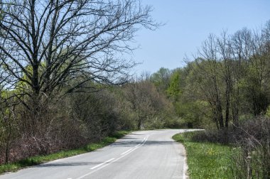 Yaz sonlarında asfalt köy yolunda