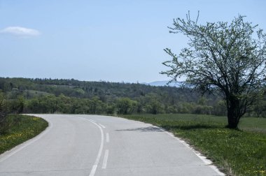 Yaz sonlarında asfalt köy yolunda