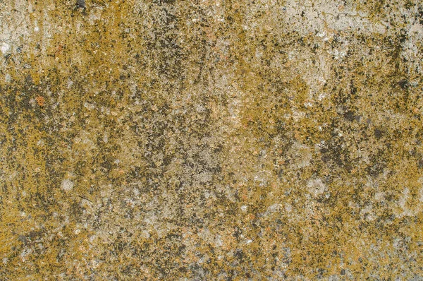 Old Weathered Mossy Sandstone Surface Lichens Closeup Stone Background — 스톡 사진