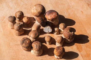 Taze kesilmiş boletus edulis mantarları ahşap tahta arka planda yakın plan