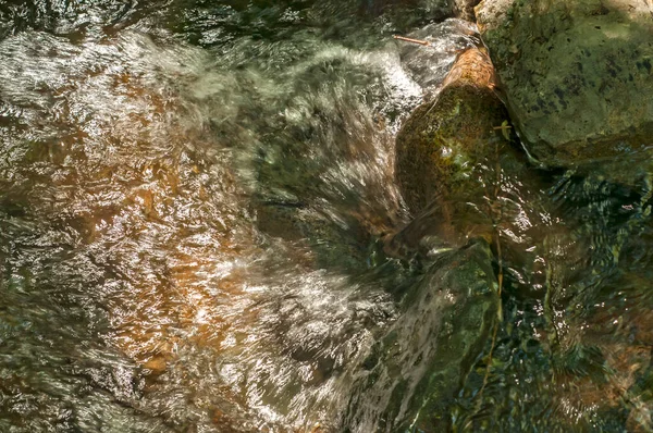 Маленький Чистый Горный Ручеек Водой Ручьях — стоковое фото