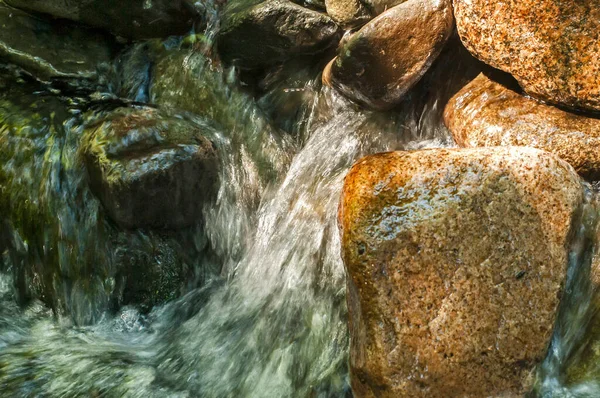 Small Clear Mountain Stream Water Woods — Stock Photo, Image